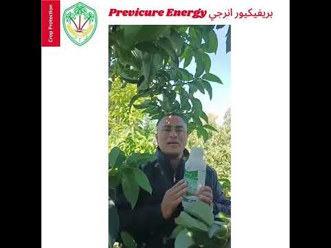 بريفيكيور انرجي   2