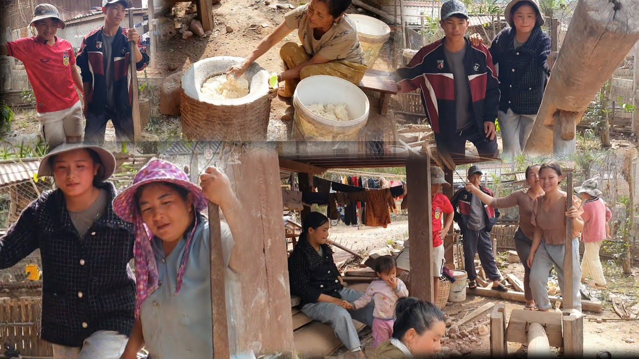 Coj vauv thiab yeeb laim nkawv mu tuav txhuv yuav ua ncuav phom 6 yeeb laim noj o