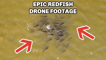 How To Find And Catch Schooling Redfish [Epic Drone Footage]