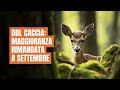 Ddl Caccia: maggioranza rimandata a settembre