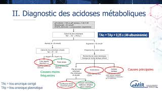 6 36 1 Acidose Métabolique