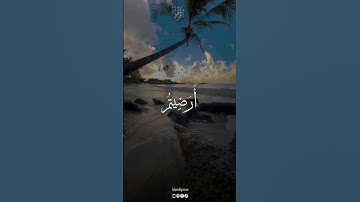 أرضيتم بالحياة الدنيا من الآخرة، القارئ محمد صديق المنشاوي