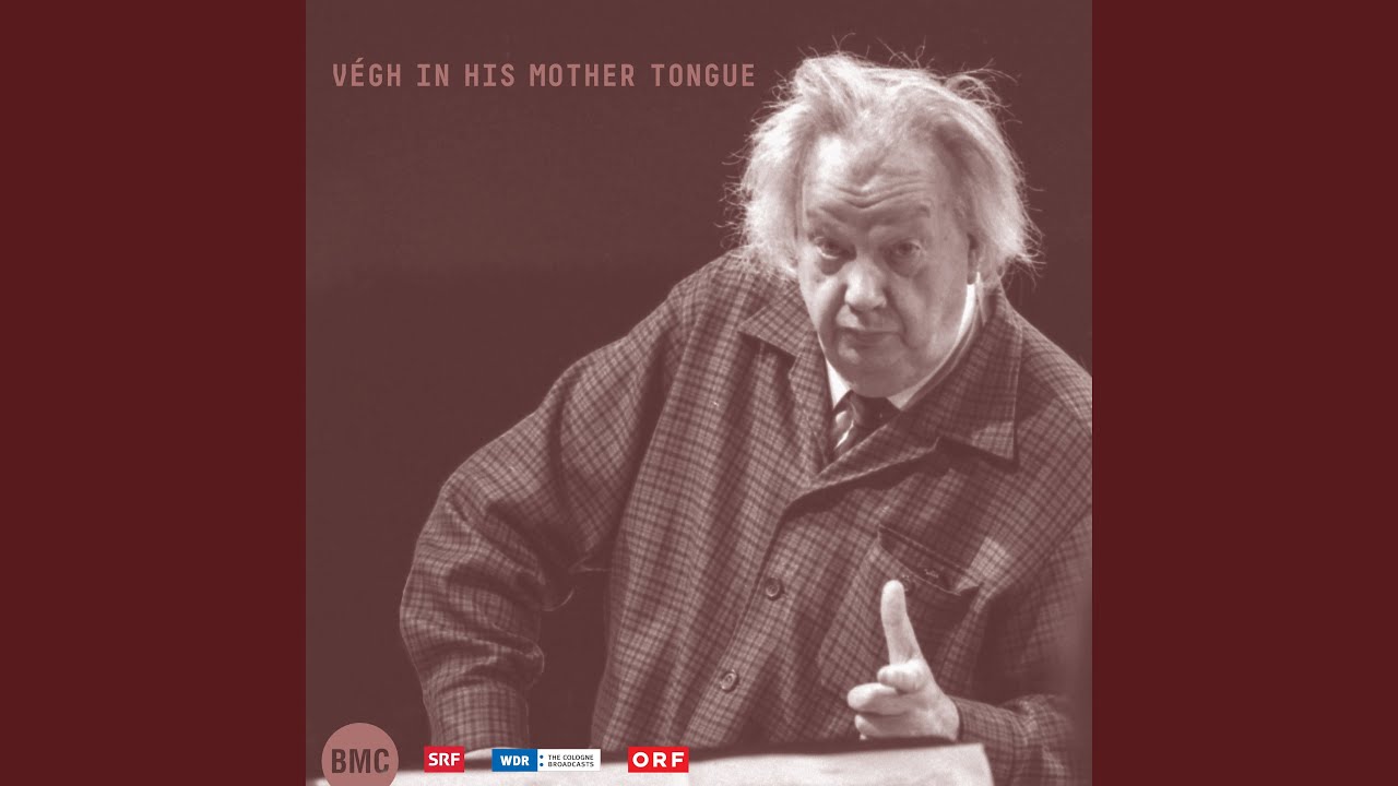 Concerto for String Quartet and Orchestra: I. Le cadenze. Molto allegro, risoluto