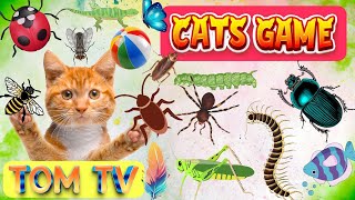 CAT GAMES TOM TV | Ultimate Cat TV Compilation Vol 8 | 3 HOURS | NO ADS  🐝🐞🦋🦎🦜🐜🐭🧵