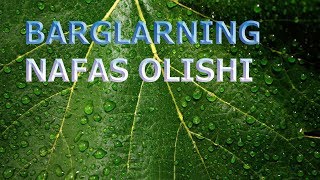 BARGLARNING NAFAS OLISHI | БAРГЛAРНИНГ НAФAС ОЛИШИ. Resimi