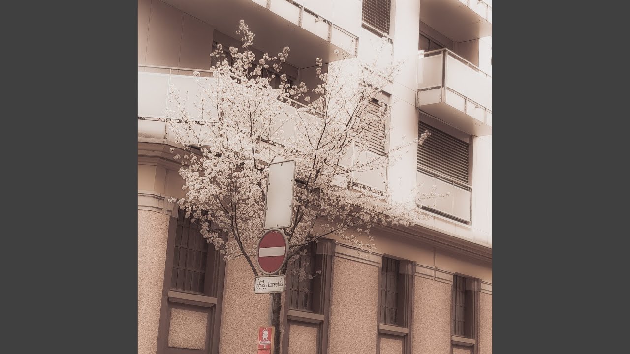 Assista a split no YouTube Assista a split no YouTube