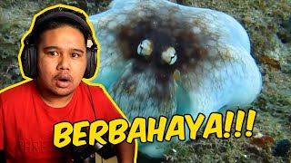 HEWAN APA INI!? BUKAN MAIN!