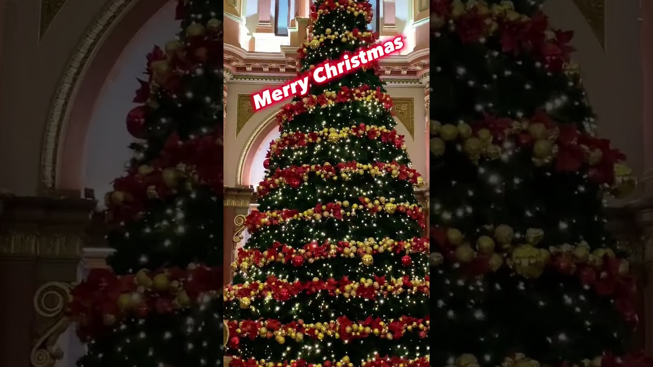 Merry Christmas 🎄2022 