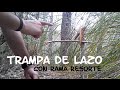 Fácil Trampa de lazo. Supervivencia - Bushcraft