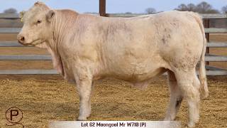Lot 62 Moongool Mr W710 P
