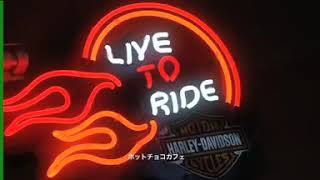 松下ヨシナリ、マン島TTレースへ再挑戦！直前インタビュー | MOTOCOM