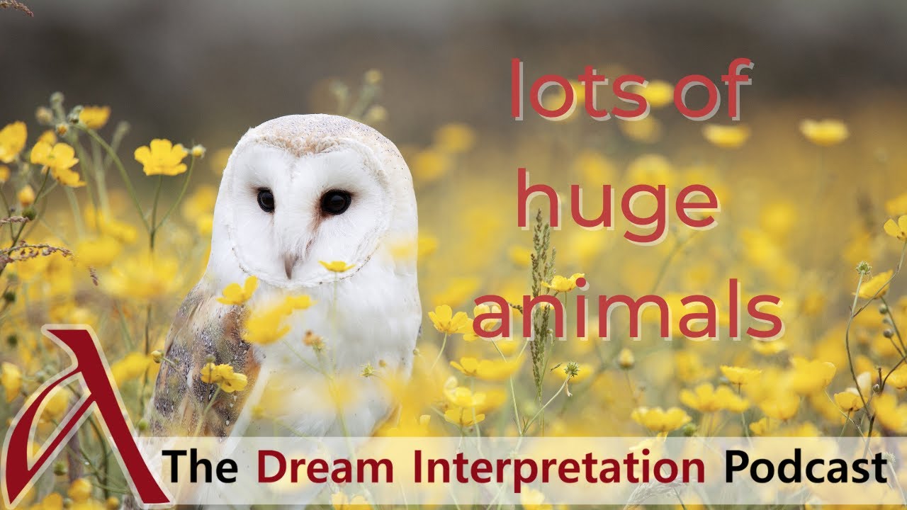 Dream Interpretation: Lots Of Huge Animals