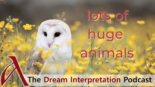 Dream Interpretation: Lots Of Huge Animals