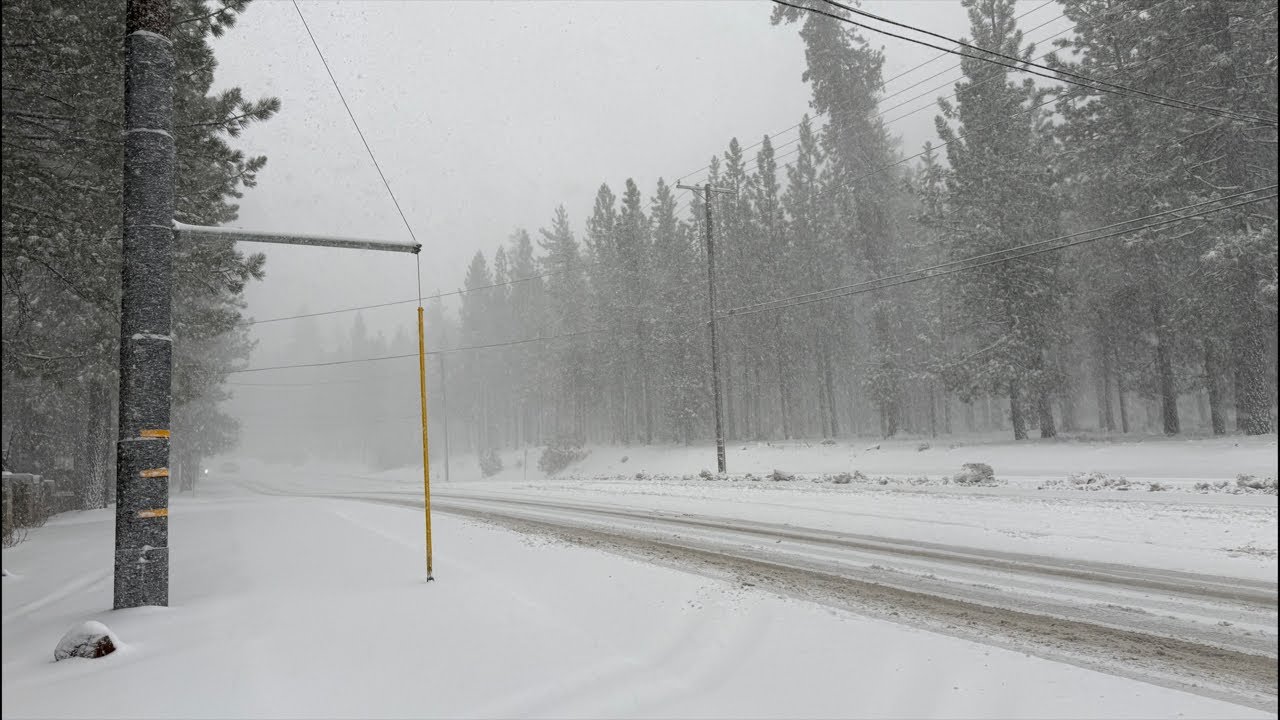 🔴LIVE. ❄️Snow Drive Around Big Bear, CA ☃️ COME HANG OUT!!