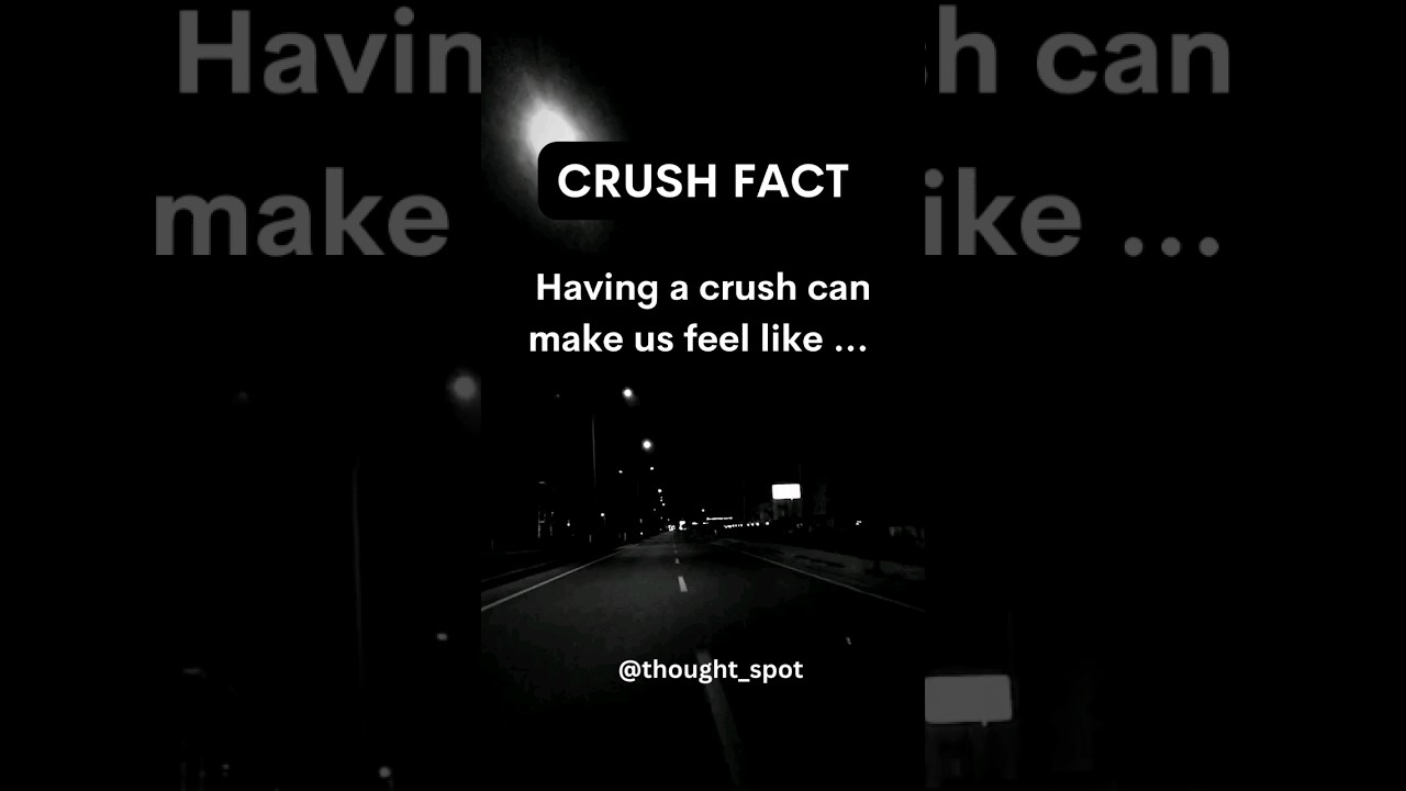 Crush Fact Having a crush can make us feel like shorts crushfact YouTube