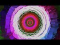 Trip machine duality  psytrance  techno mix  4k60r visuals