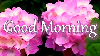 💝Good Morning Wishes With Beautiful Messages and Prayer ❤️🌼💐 Good Morning Whatsapp Status💝