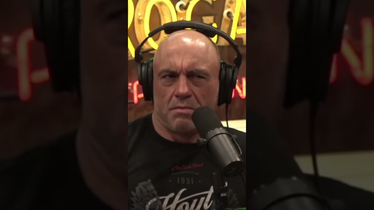 The Raw Intelligence Of Crows Joe Rogan