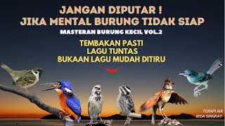 JANGAN DIPUTAR! Tembakan PASTI (Masteran Suara BURUNG KECIL)