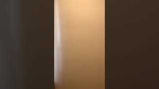 4 bedroom 2 bath