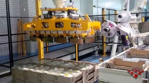 Mushrooms Packing & Palletizing