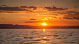 Sunset Chill Vibes 🌅 | Lofi Beats to Relax & Study