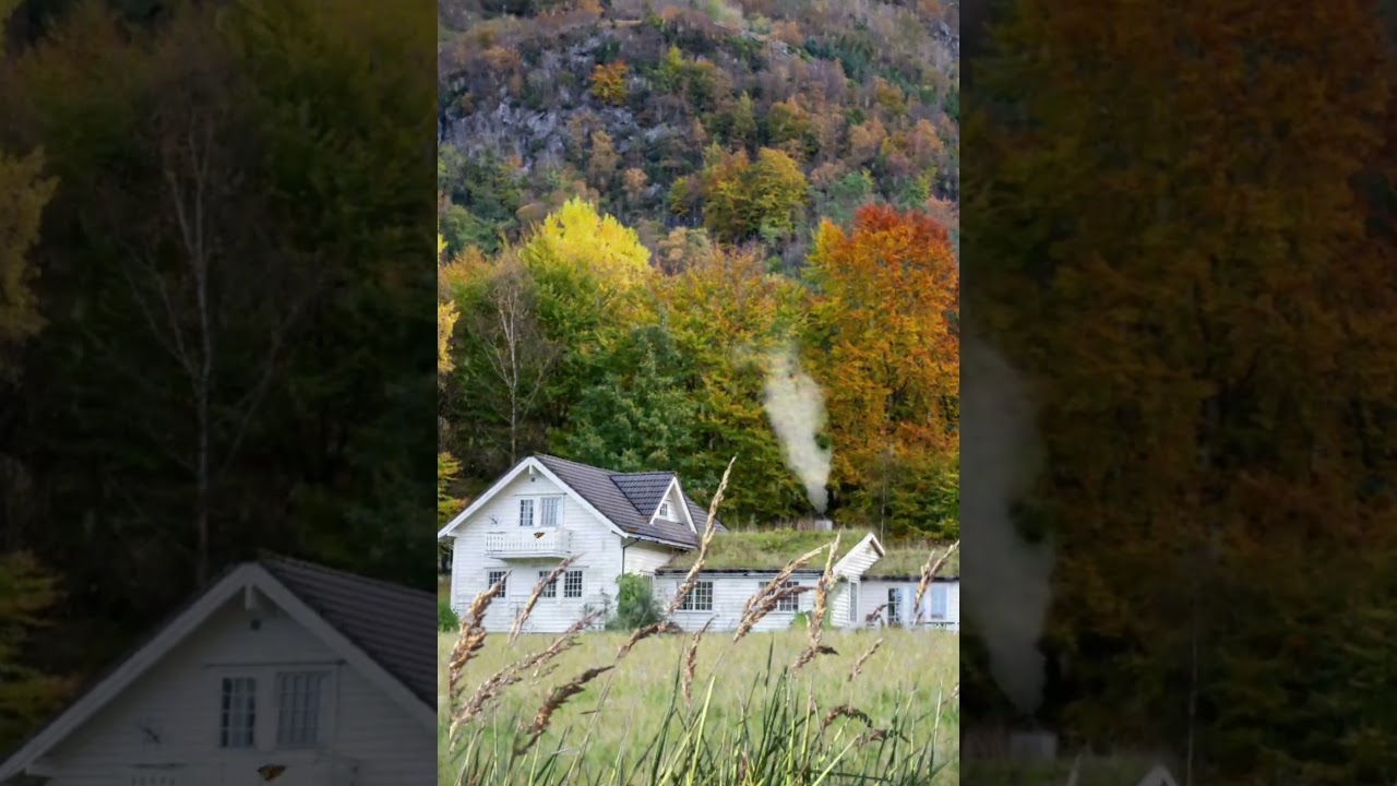 Best Professional 3D Zoom of Vimage  : 