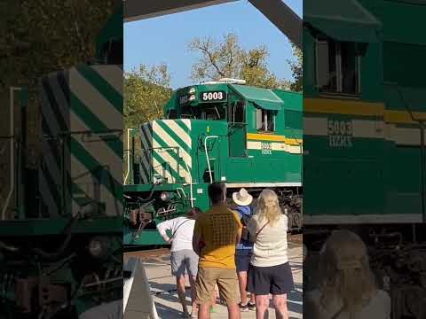  5003 50        