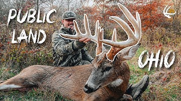 150" OHIO PUBLIC LAND BUCK JUMPS OFF A CLIFF | Self-Filmed Bow Hunt