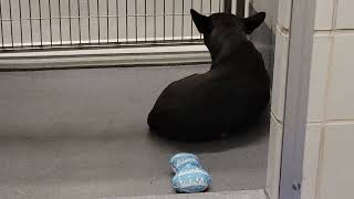 acs A689577