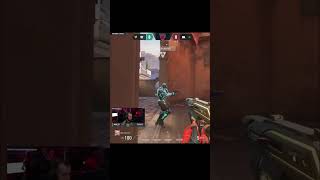 Vit Vs Bbl - Qutionerx Mükemmel Başlangıç