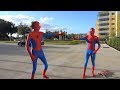 Spider-Man In Real Life