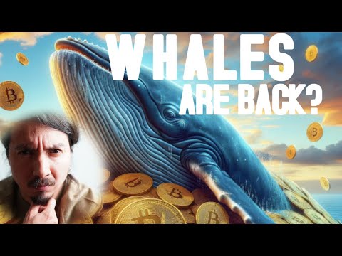 Video preview for Bitcoin is testing the 55 EMA again but is this bounce real or just another trap? In this video we break down the charts, the rejection probabilities, and what the bulls must do to confirm a real trend reversal. Stay sharp, protect your capital, and follow the signals, not the hype.