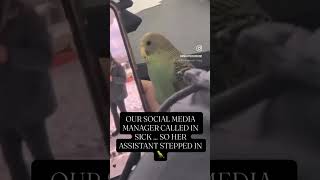 Our social media manager called in sick...