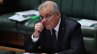Scott Morrison needs to be ‘hounded out’ of parliament