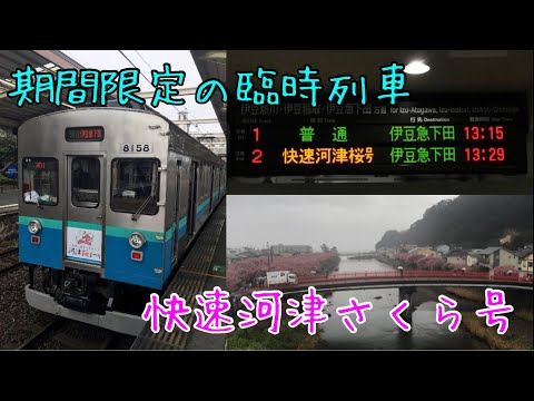 JR東海道線サボ 伊豆急下田 東京 行き 快速 JR東海道線サボ 伊豆急下田 東京 行き 快速 - メルカリ
