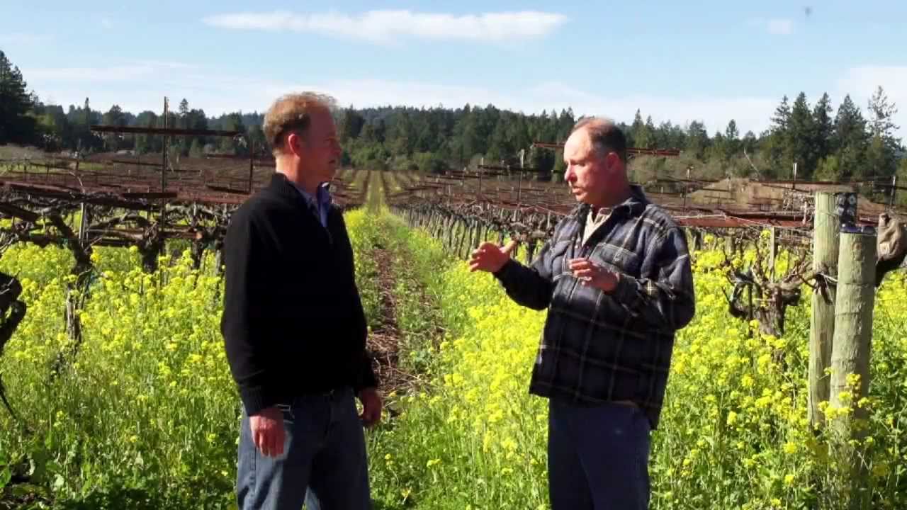 Landmark Vineyards Grower Video: Heintz Vineyard