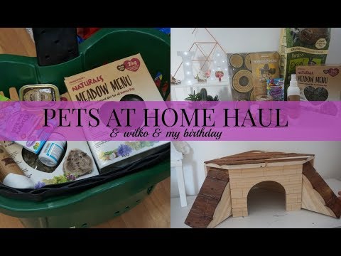 PETS AT HOME HAUL (+birthday) | Imy’sAnimals