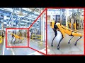 Как роботы-собаки используются в реальной жизни
