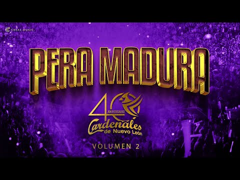 Cardenales de Nuevo