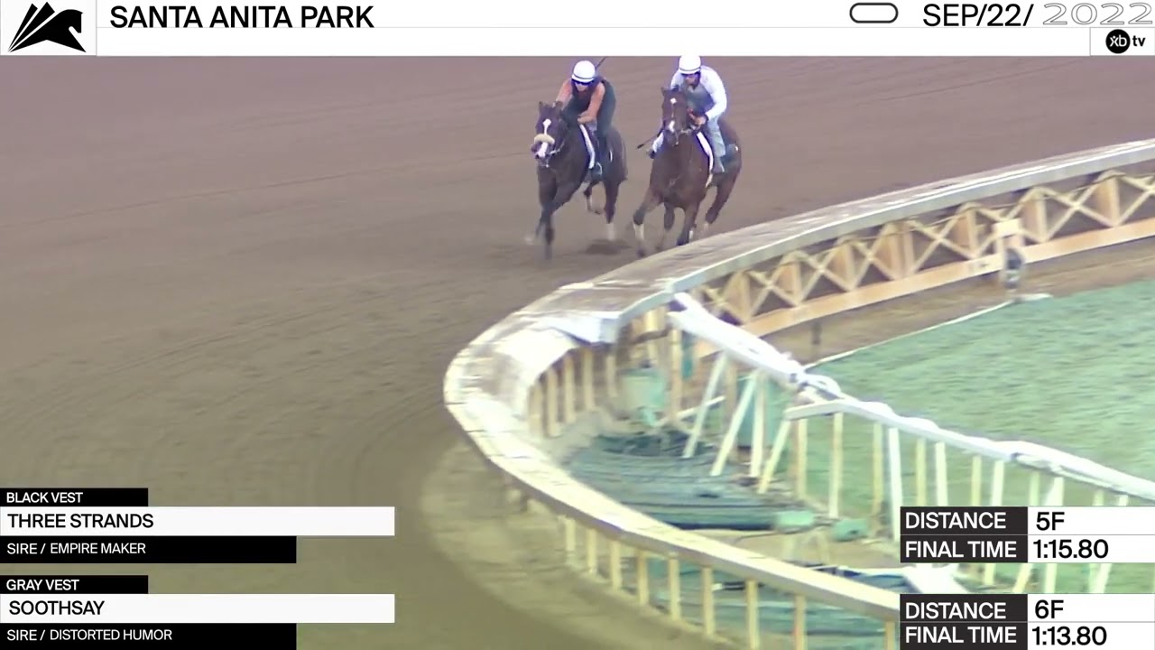 Work of the Day at Santa Anita Park: Three Strands and Soothsay worked on September 22nd, 2022.