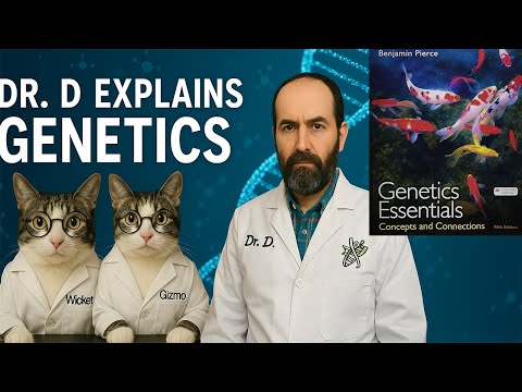 BIOL2416 Chapter 13 Gene Mutation And DNA Repair