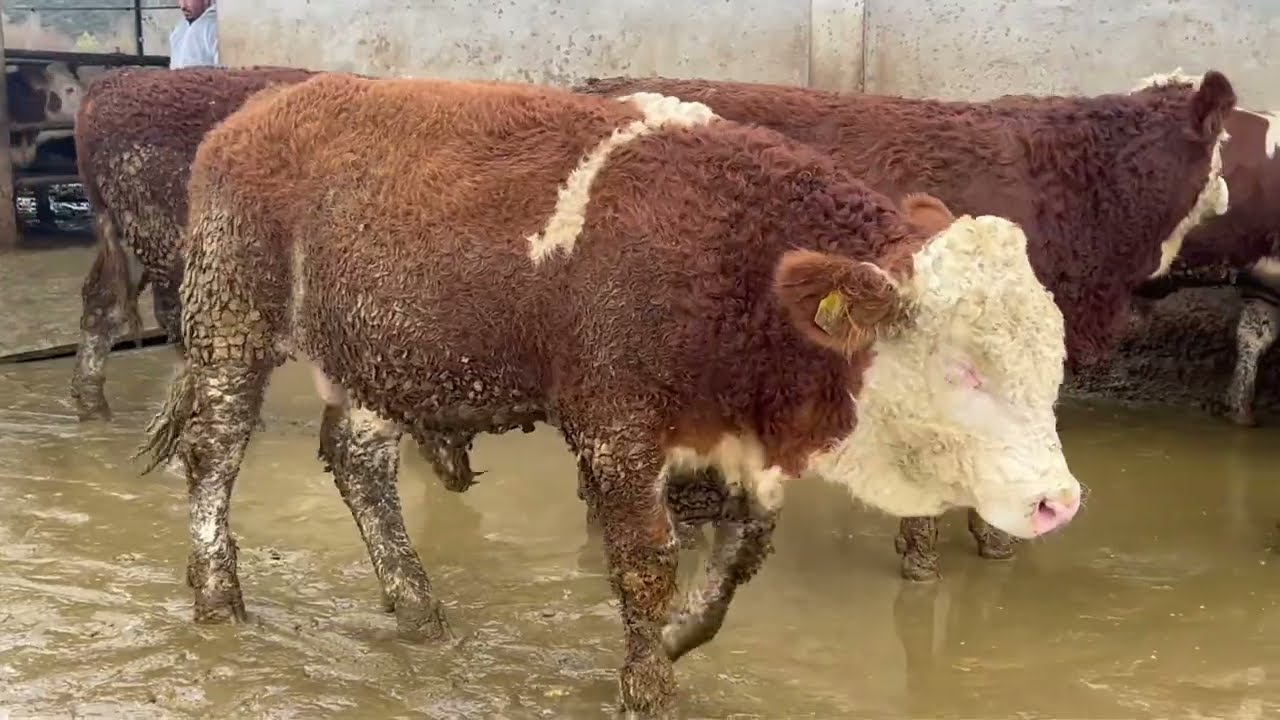 KALİTEYİ TOPLAMAYA DEVAM!