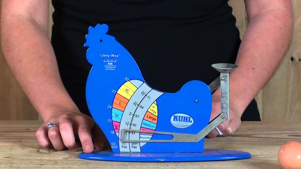 Kuhl JIFFY-III-12 Jiffy-Way Egg Grading Scale