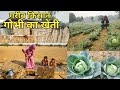 Indian Farmer | Indian Farmers Life | Farmer Life | Indian Village Life | Farmer Act |Farmer Protest