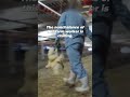 Chickens in the meat industry are beaten, disregarded, and treated like they’re nothing.