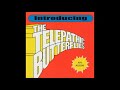 The Telepathic Butterflies - Radio Darlings