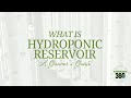What Is a Hydroponic Reservoir A Grower’s Guide - hydroponics360.com