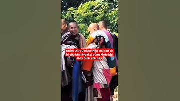 chiều 23/10 triệu triệu trái tim từ bi yêu kính Ngài,ai cũng khóc#suminhtue #shortvideo