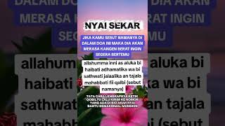 #amalan #doamustajab #istri #istiqomah #pengasihan #trend #trending #trendingshorts